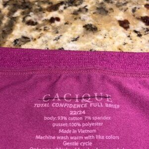 Lane Bryant Cacique Total Confidence Full Brief size 22/24 NEW